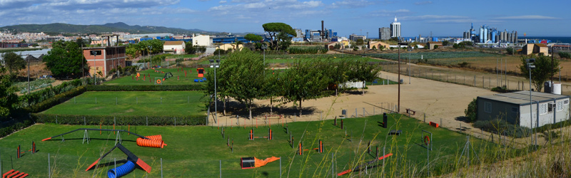 2012 Panorama 1